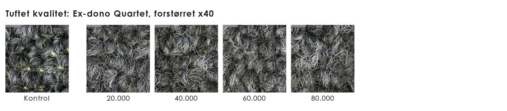 Slidtest Ex-dono Quartet